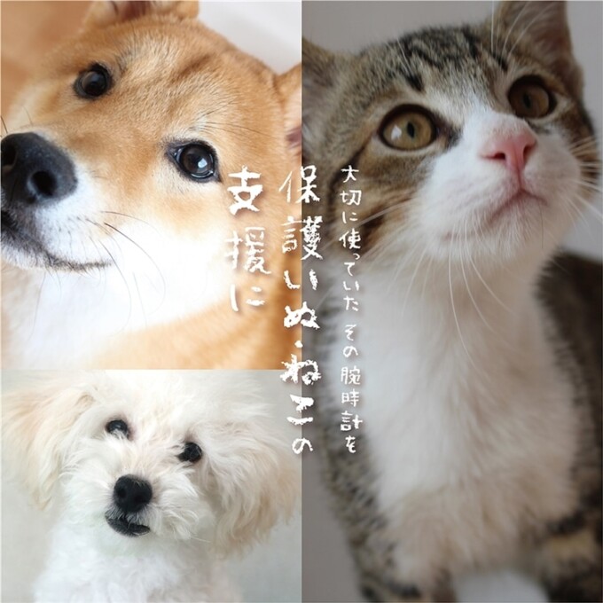 腕時計下取り『大事に使ってた腕時計を保護いぬ・ねこの支援に』
